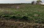 Vand teren intravilan Com. Chiscani - 2
