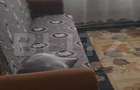 Apartament 3 camere, 56 mp, zona Blocuri, Campia Turzii