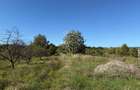 Teren intravilan 965 mp-imprejmuit-ideal casa-Livezile
