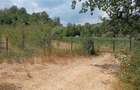 Teren agricol Ezeri?, 3000 mp, la ?osea, cu pomi - 1