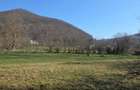 Proprietar vand 2 hectare teren extravilan - 10