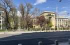 Închiriere Apartament 2 camere Kogalniceanu - 10