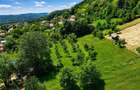 Teren Mixt 7.516 mp in Nicolae Balcescu Intravilan extensibil ?i deschidere spre dealuri - 5