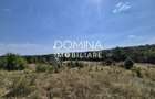 Vanzare teren 13.000 mp - Runcu-Suseni - oportunitate turistica - 5
