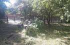 Teren intravilan 2000m2 proprietar - Prahova CORNU DE JOS centru - 5