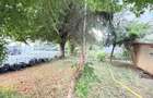 Ap 3 camere - decomandat - Campina - strada Milcovului - 11