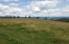 Vand 16 hectare de pasune