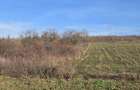 De vanzare doua hectare teren extravilan Corbita
