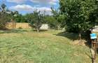 Casa + teren 2877 mp in Loc. Dolat, Com. Livezile direct de la proprietar! - 4