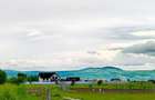 Teren Valea Avrigului (Avrig, Sibiu) - 6