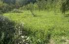 Telega - casa - teren 13000 mp/8000mp padure - 170000 Euro