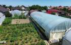 Proprietate 2.229 mp cu Dotari pentru Afacere Florala