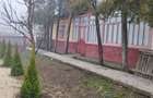 Casă cu 3 camere cu Teren 1400 Mp în Movila Miresii - 2
