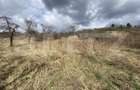 Teren intravilan in suprafata de 2000 mp, zona Episcopiei - 3