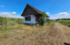 Casa de vanzare in Unirea, cu teren de 2.901 mp - 7