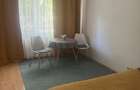 Proprietar inchiriez apartament cu o camera in zona Mircea cel Batran - 2