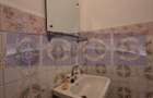 VANZARE 3 CAMERE DECOMANDAT DRISTOR - 15