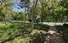 Apartament de vanzare cu 4 camere in Tomis Nord, Vedere parc, etaj 1 - 2