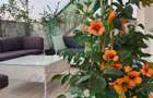 Apartament cu 3 camere si TERASA SPECTACULOASA DE 57 MP - 3