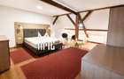 Pensiune 12 camere de închiriat | Central, Sibiu | terasă - 54