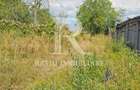 De vanzare | Casa veche in Cosdeni | Bihor | 23000 - 2