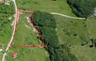 Teren intravilan la asfalt centru Codru Butesii, langa biserica, apa, curent. Suprafete 24-620 ari, parcele/comasat. Ingradit, livada de nuc ecologic.