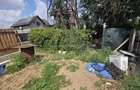 Casa cu 5 camere de vanzare in zona Bordei Calea Bucurest... - 7