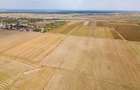DASCALU - TEREN INTRAVILAN 7500 MP, INVESTITIE! - 14