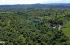 Teren de vanzare in Campulung-Muscel / Strada Ion Giurculescu - 17