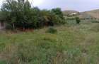 vand teren intravilan 1100 mp in gherla - 1