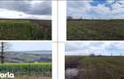 Teren cota parte 3/16, Sipote, ID: R3070063 - 5