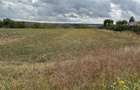 Vand teren Intravilan 1400 MP in Parcul National Comana - Vlad Tepes - Giurgiu - 1