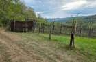Vand teren in Comuna Cepari, Sat Plaiul Oii 4668 mp