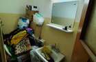 APARTAMENT 3 CAMERE-RAHOVA-MODORAN ENE-PETRE ISPIRESCU - 13
