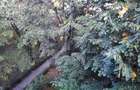De vanzare apartament cu 2 camere, Tg. Mures, Zona Cornisa, UMF - 1