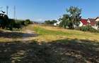 Teren intravilan 16058 mp + hale Calea Surii Mici