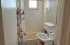 Inchiriez apartament ultracentral Baia Mare -250 Euro - 8