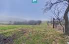 Casa si teren 5.000 mp in Poiana-Tasad, Bihor - 10