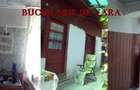 casa de vanzare in alimpesti - 7