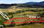 Super view | Teren 8.500 m2 Maramures | Viitorul tau colt de liniste - 11