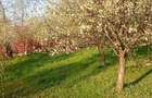 Proprietate de vanzare - 14