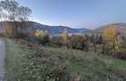 Vand teren intravilan in Ceahlau sat Bistricioara - 3