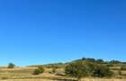 Teren agricol extravilan de 2900 mp, în Nucet - 5