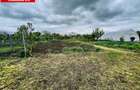 Casa Individuala, 6 camere, teren 1735 mp - Liebling,Timis - 5
