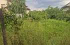Teren intravilan, 2347 mp, zona Boldesti-Scaeni - 3