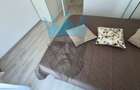 Apartament 2 Camere Otopeni - 10