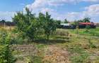 Casa de vanzare cu teren 1500mp la Bobda, Jud Timis - 2