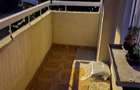 Apartament cu 2 camere in Piatra Neamt - 6