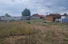 De vanzare Casa + teren generos in comuna Socodor Se vinde proprietate situata in comuna Socodor, judetul Arad, cu teren de aproximativ 2.158 m2. - 1