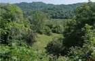 Teren 11230 m.p. + Conac - necesita renovare - 7